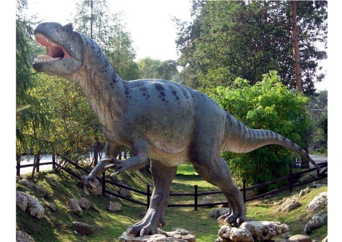 Allosaurus replica