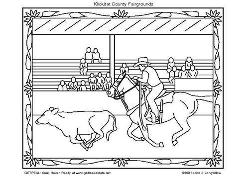 Amerikaanse Rodeo