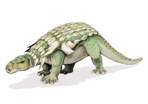Afbeelding Edmontonia dinosaurus