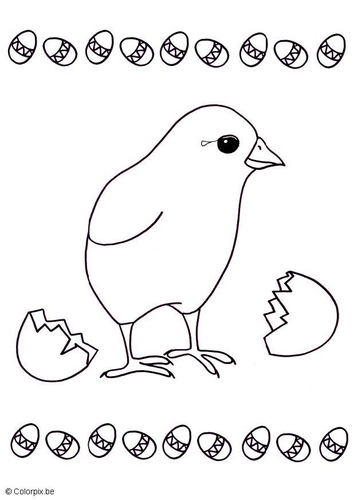 Kuikentje uit ei