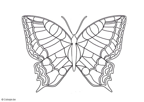Vlinder