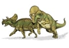 Afbeeldingen Avaceratops dinosaurus