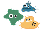 Afbeeldingen bacteriën