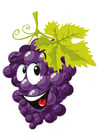 Afbeeldingen fruit - druiven