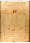 Afbeeldingen Leonardo Da Vinchi - Man van Vitruvius
