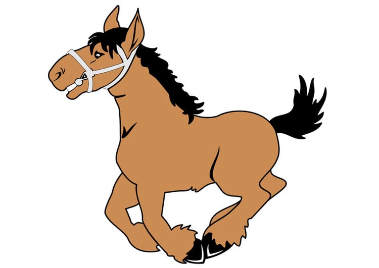 Afbeelding paard 