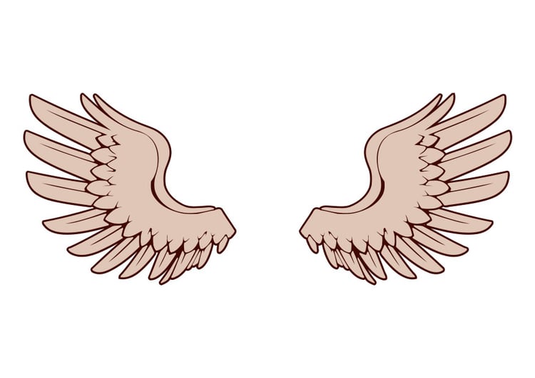 Afbeelding vleugels