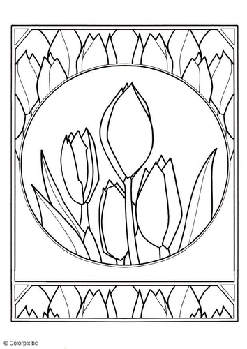 Tulpen