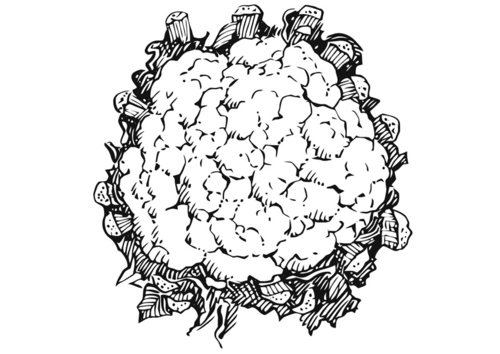 bloemkool