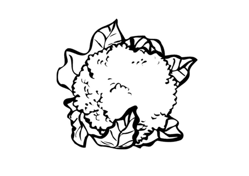 bloemkool