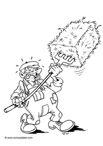 boer1