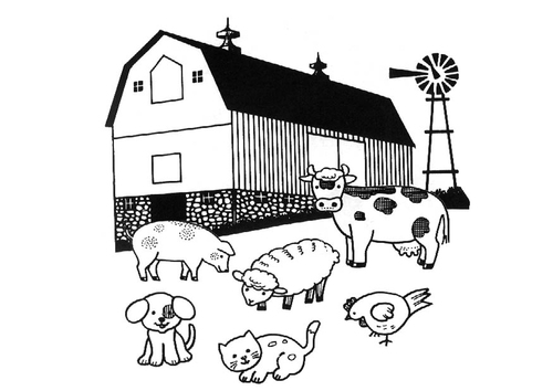 boerderij