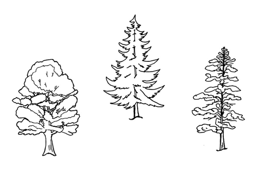 bomen
