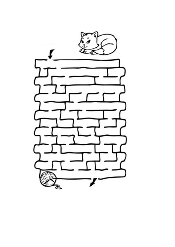 doolhof kat