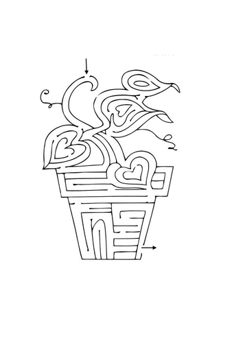 doolhof plant