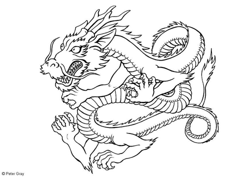 draak