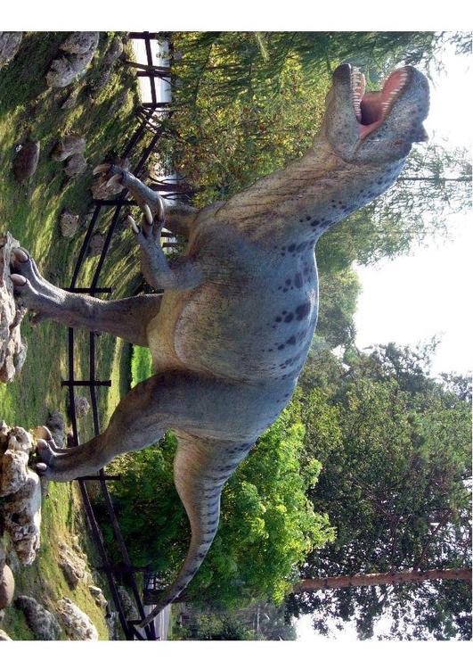 Allosaurus  replica
