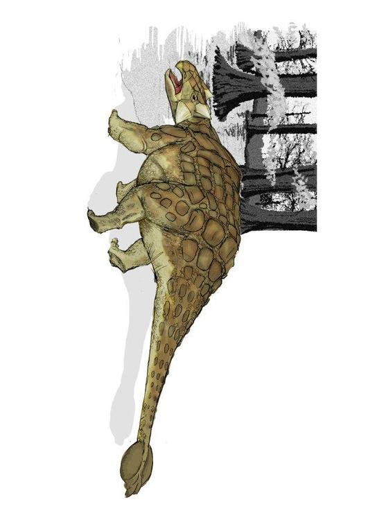 Ankylosaurus