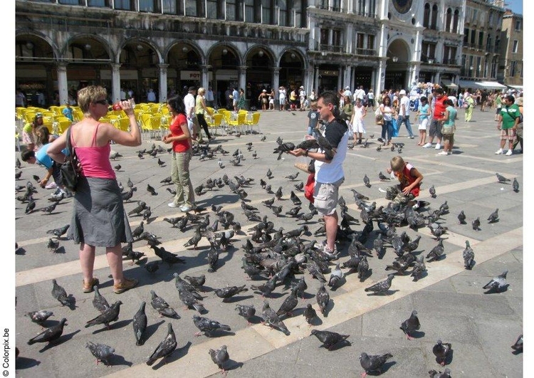 Foto Duiven voederen op San Marco plein, VenetiÃ«