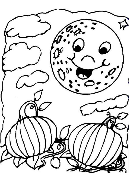 Halloween nacht