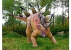 Foto's Stegosaurus replica