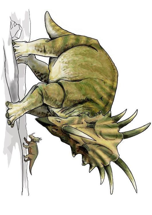 Styracosaurus dinosaurus