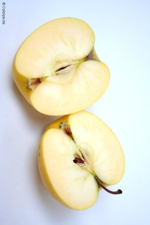 appels