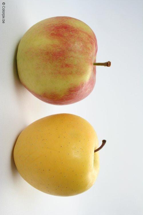 appels
