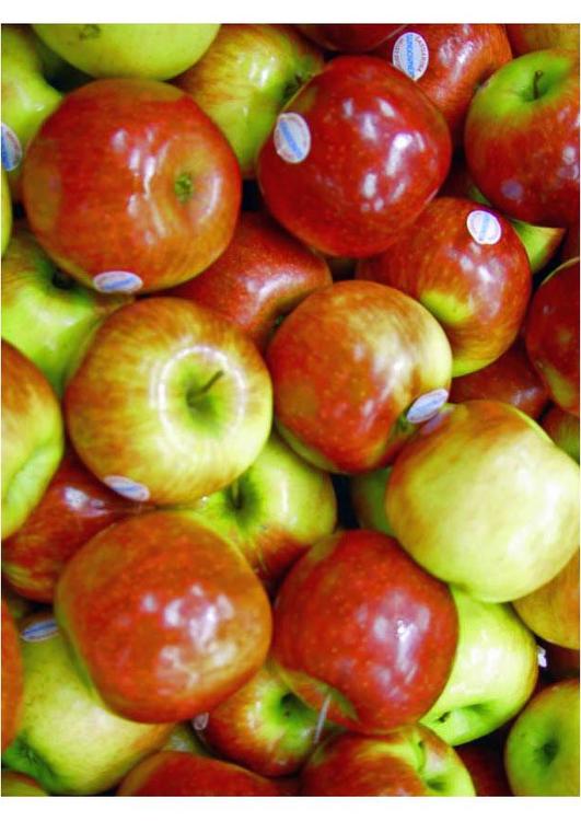 appels
