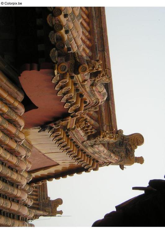 dak paleis