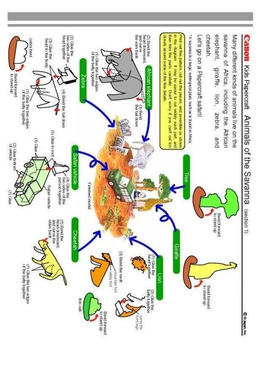 dieren 1