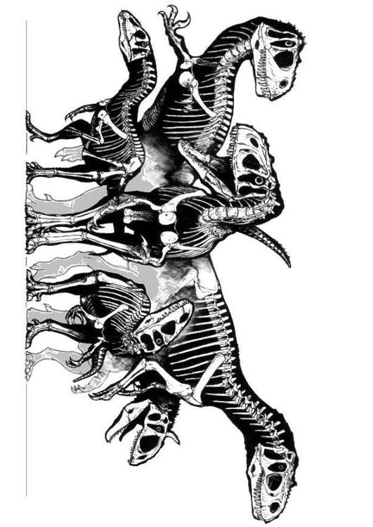 groep dinosaurussen -  skeletten