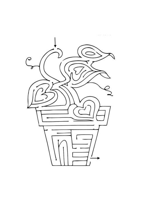 doolhof - plant