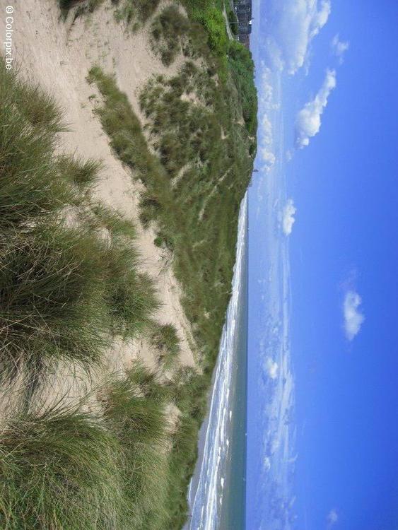 duinen zee kust 1