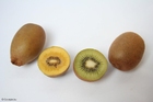 Foto's gele en groene kiwi
