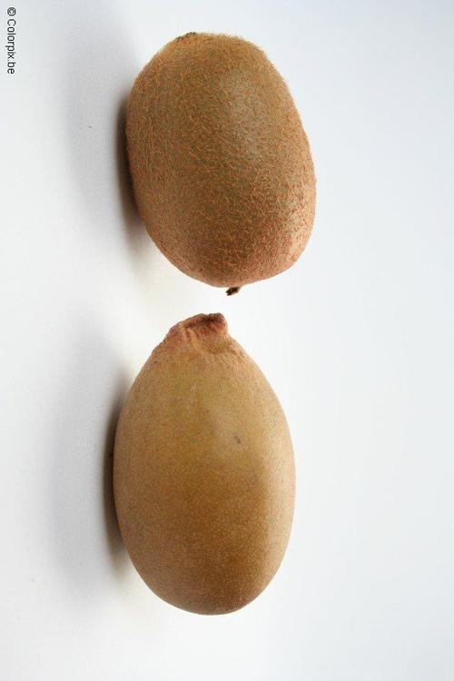 groene en gele kiwi