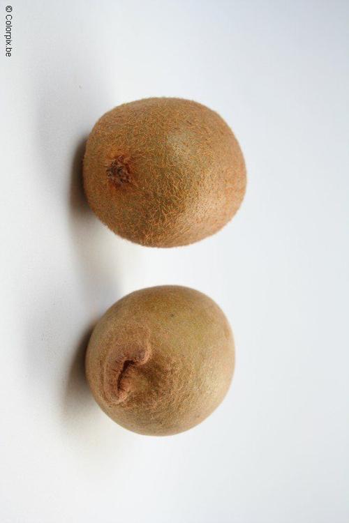 groene en gele kiwi