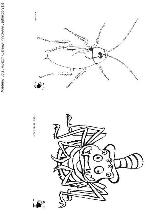 insecten