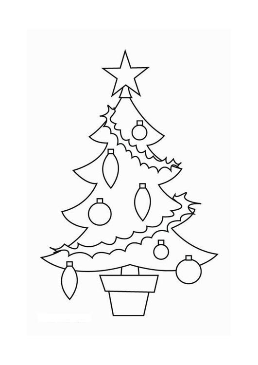 kerstboom