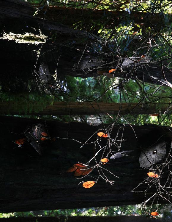 natuurlijk Halloween tafereel