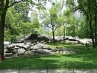 Foto's New York - central park 
