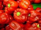 Foto's paprika