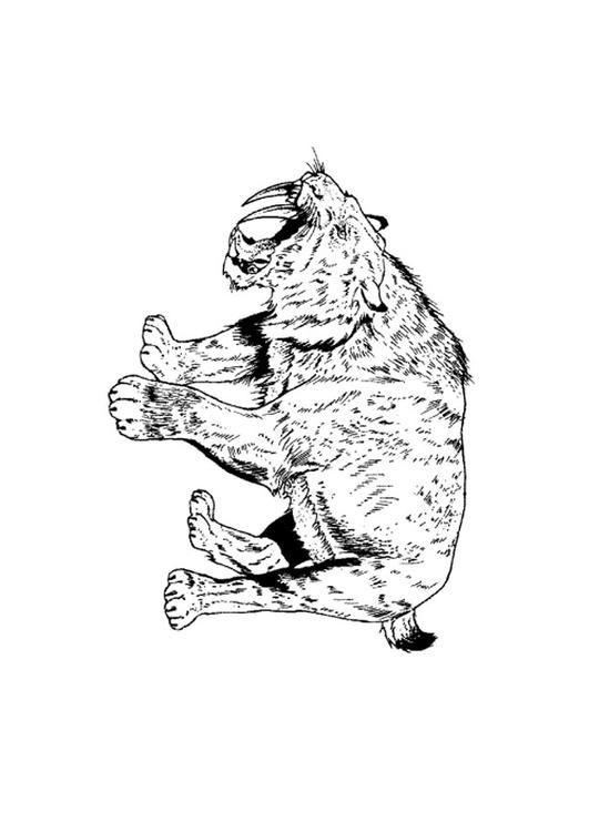 sabeltandtijger