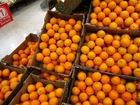 Foto's sinaasappels