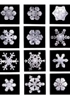 Foto's sneeuw kristallen