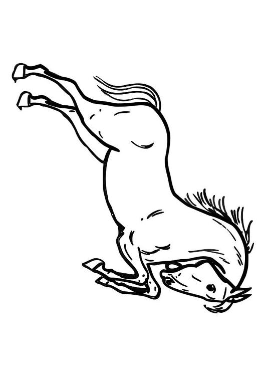 springend paard