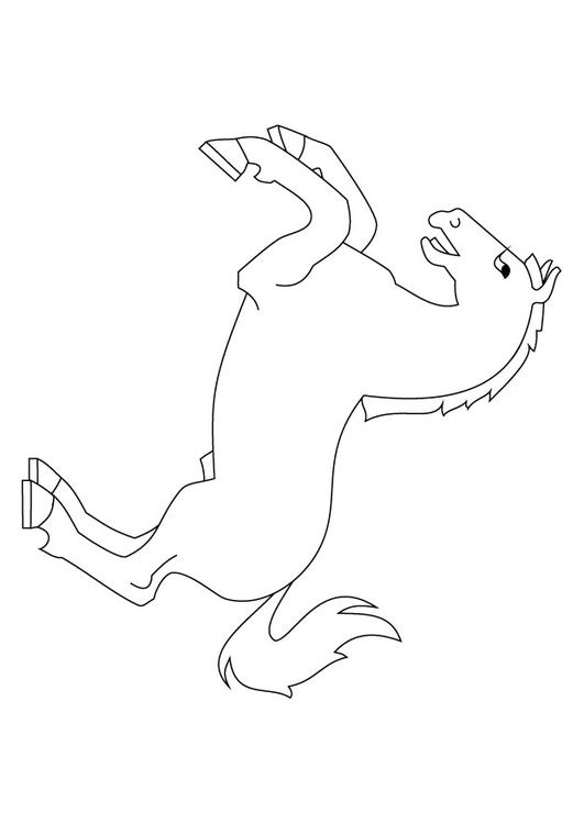 steigerend paard