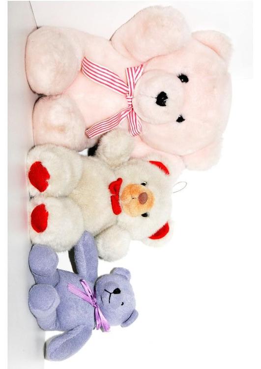 teddyberen