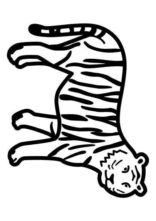 tijger staat