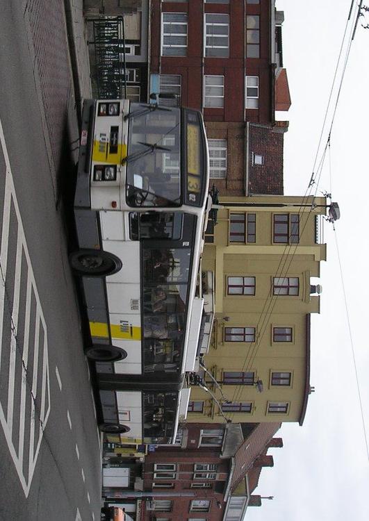 trolleybus, Gent, Belgie